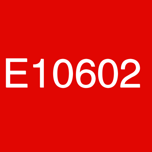 E10602